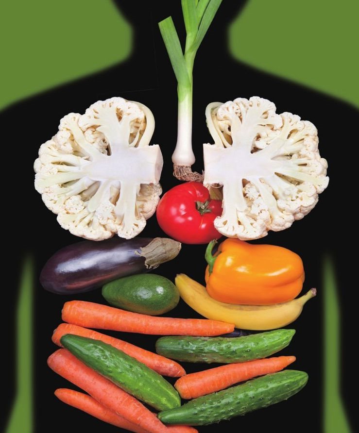 肝脏的主要功能是分解附着在食物中的各种毒素