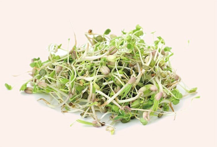 经常食用绿豆芽有益于防治尿潴留