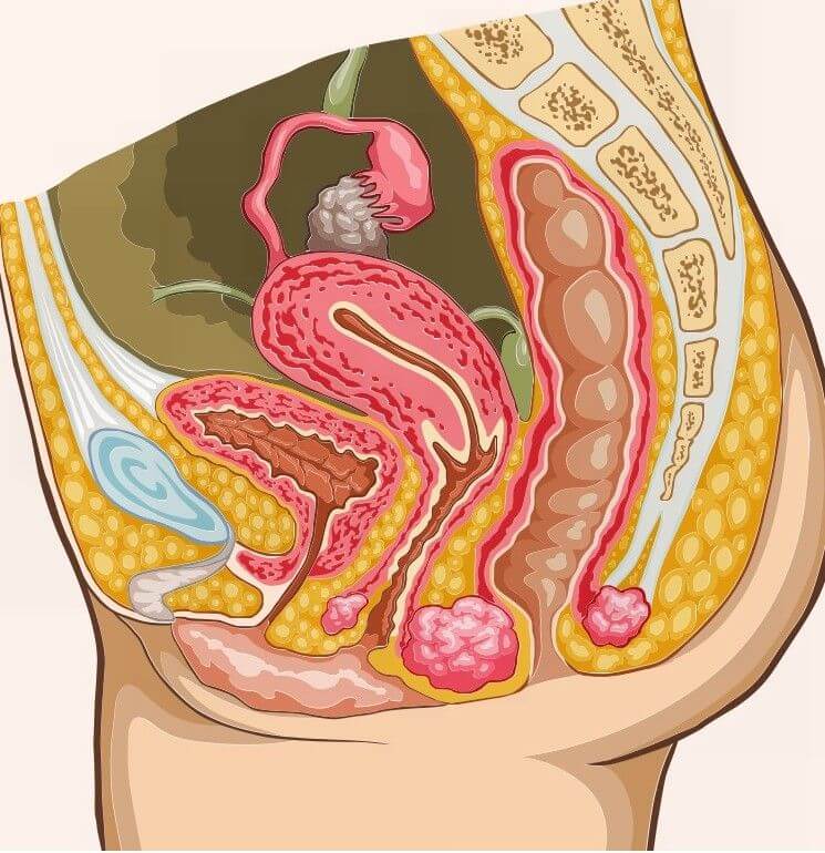 女性尿道炎是微生物从阴道侵入尿道而引发的炎症