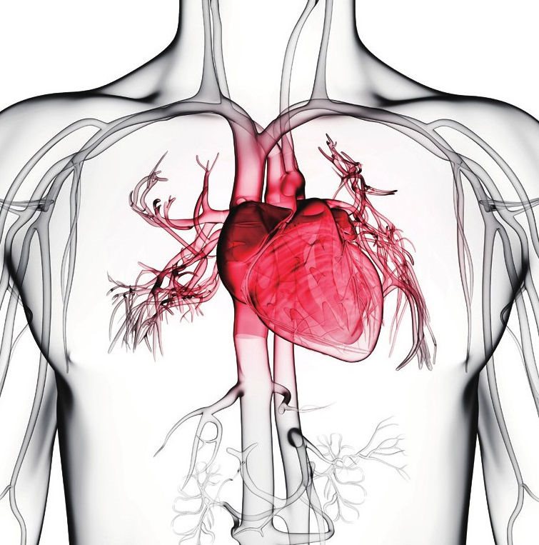 心脏是人体最重要的器官，如果出现不适症状，一定要引起注意