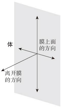 膜与体