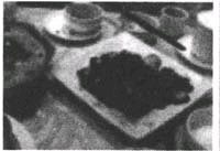 第二节 中文自我介绍