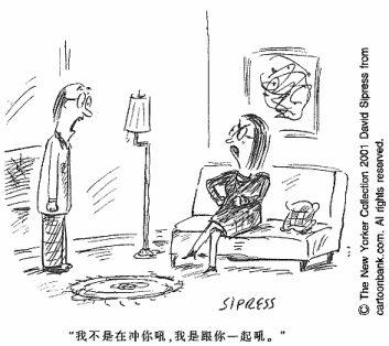 11.3 关系系统中的冲突