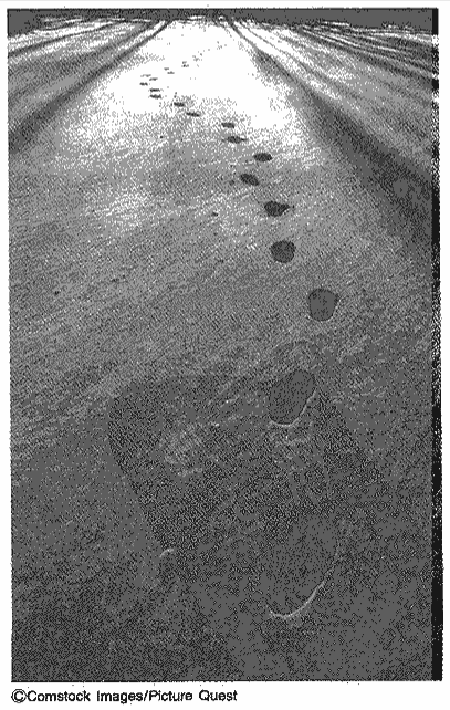 2.1 沟通和自我概念