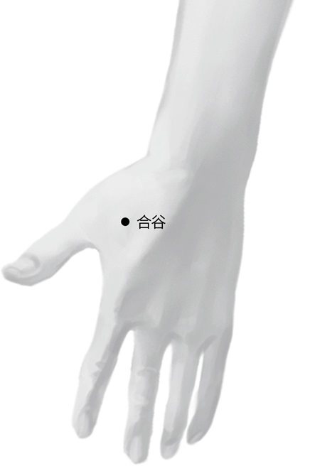 合谷 合谷