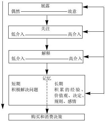 消费者决策过程中的信息处理
