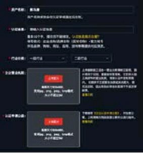 企业认证需要提供的信息