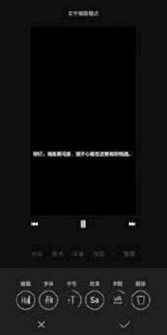 对字幕效果进行功能设置