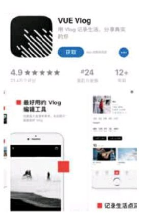 应用商店中的“VUE”简介