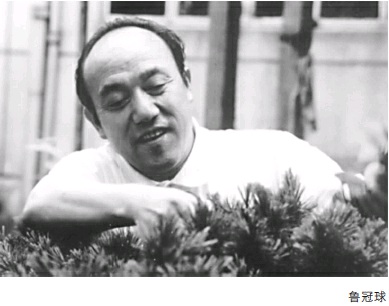 四大错位 多重失信