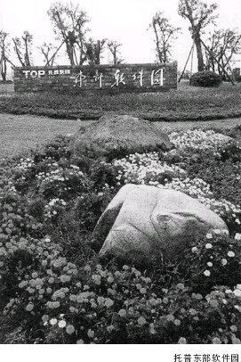 软件园：跑马全国成地主