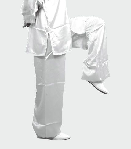 06 五禽戏的基本动作与技法