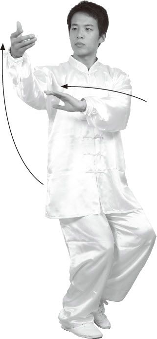 第四式·左右搂膝拗步