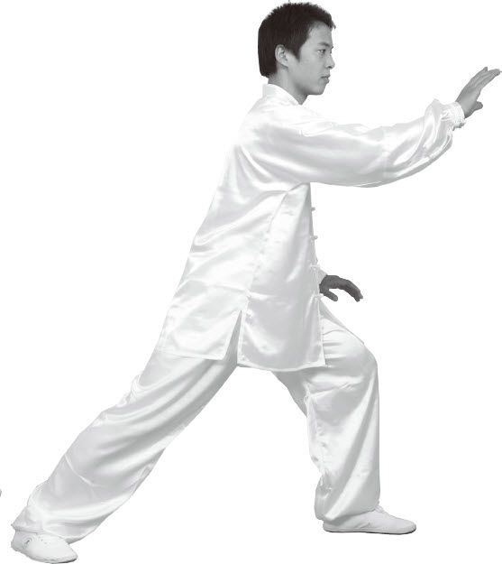 第四式·左右搂膝拗步