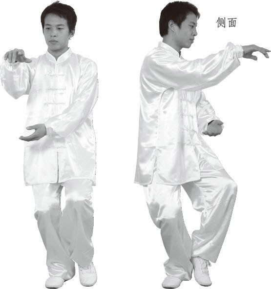 第七式·左揽雀尾