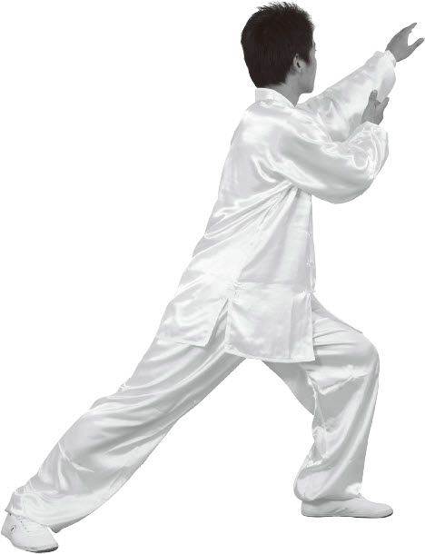 第七式·左揽雀尾