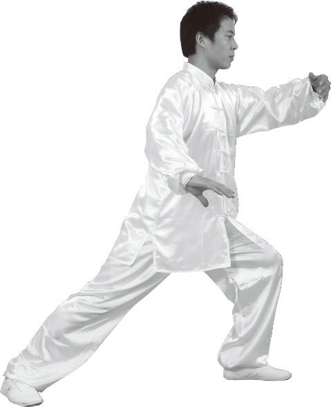 第七式·左揽雀尾