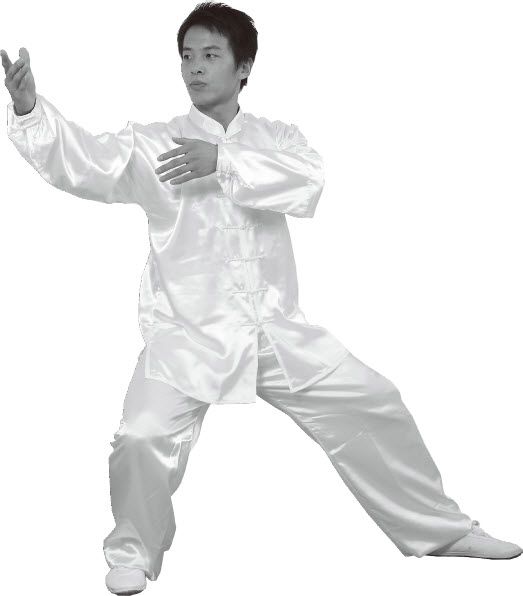 第七式·左揽雀尾