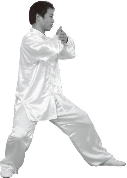 第七式·左揽雀尾