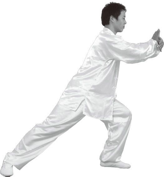 第七式·左揽雀尾