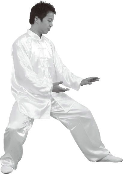 第七式·左揽雀尾