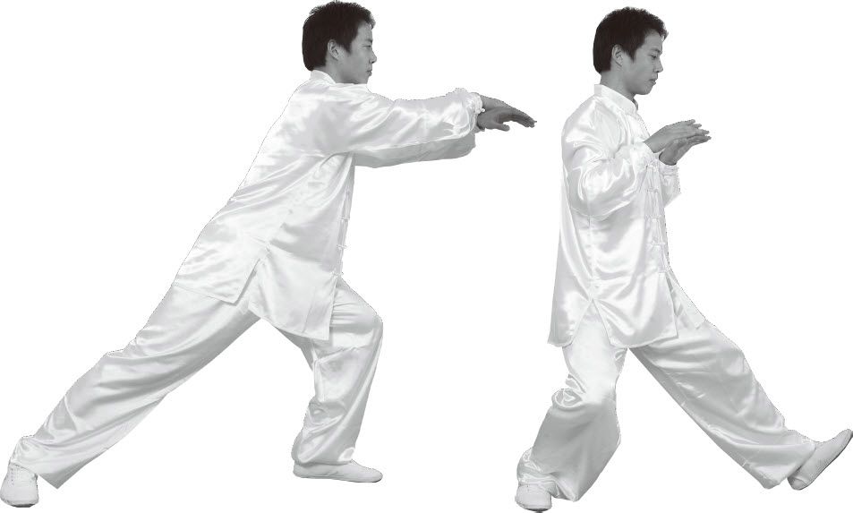 第七式·左揽雀尾