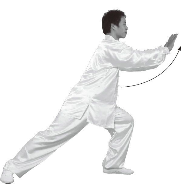 第七式·左揽雀尾