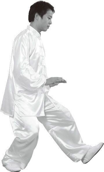 第七式·左揽雀尾