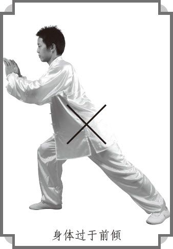 第七式·左揽雀尾