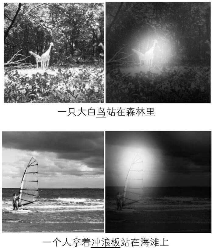 具有注意机制的深度神经网络观察图片时的注意力焦点