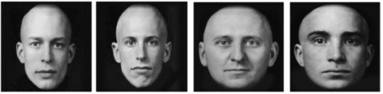 布斯迈尔和汪铮的实验