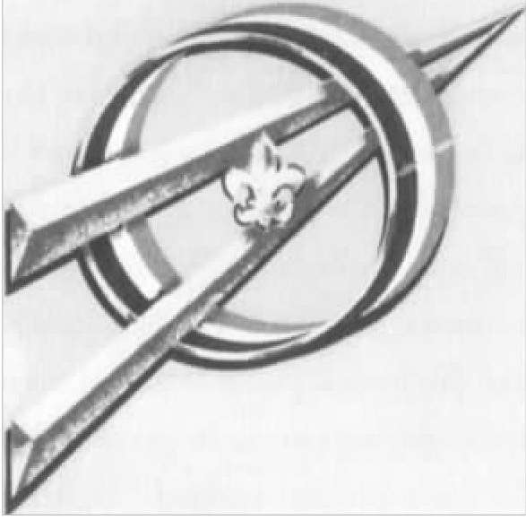 “探险童子军”徽章20世纪50年代，一家图片公司重新设计了“探险童子军”的徽章，使其更“与时共进”