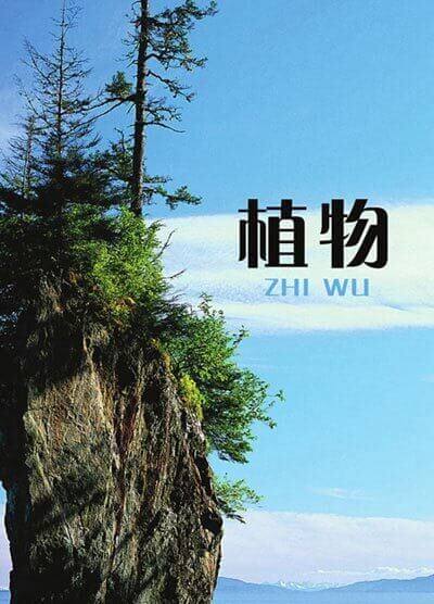 植物