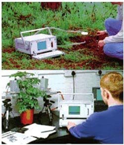 植物研究人员正在测植物的呼吸