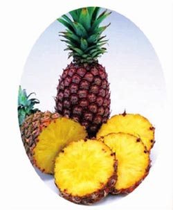 菠萝