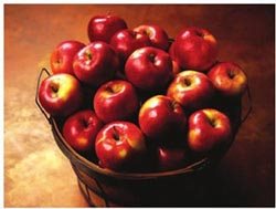 吃苹果能起到调节生理机能的作用