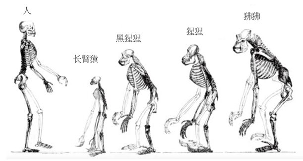 狗粮货架