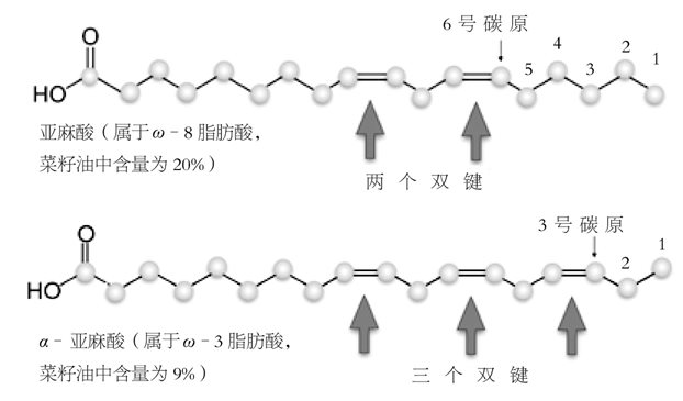 植物油易氧化