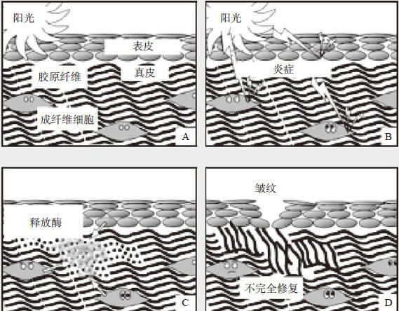 古埃及人的美容秘籍