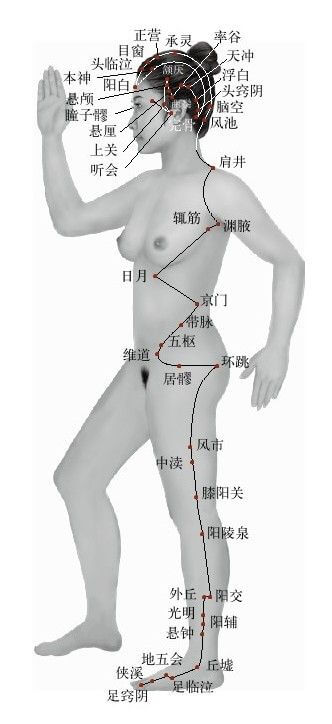 肝藏血:人要健康,必养血气