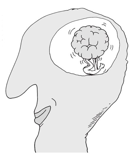 成人大脑也可塑？我们一起“人老脑不老”