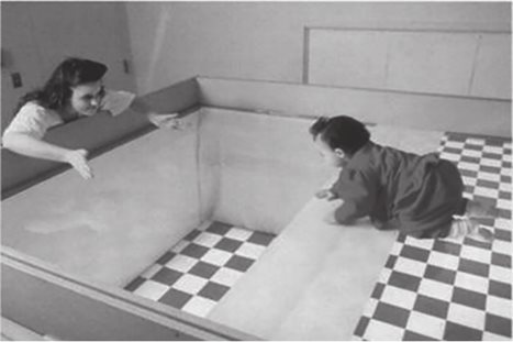 如何读懂婴儿的世界？