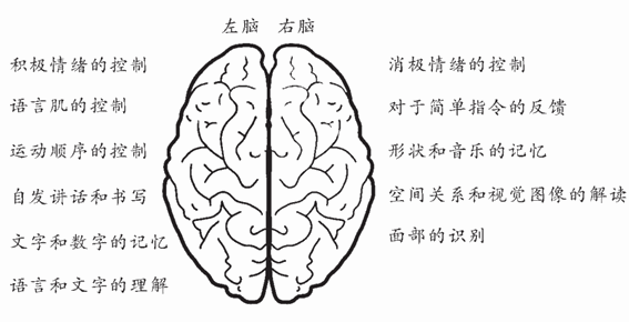 成人大脑也可塑？我们一起“人老脑不老”