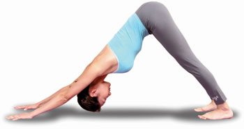 第五部分:平衡式Balancing Poses