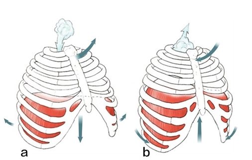 a b
