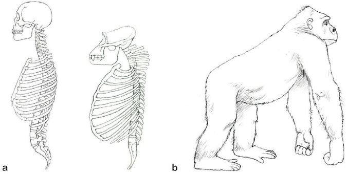 a b