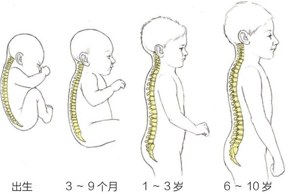出生 3～9个月 1～3岁 6～10岁