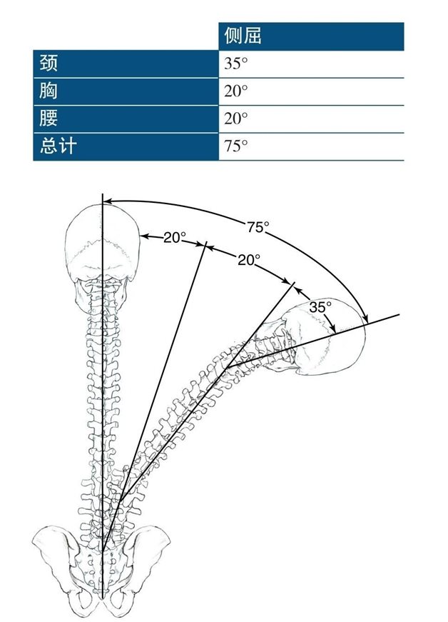 颈胸腰总计侧屈35° 20° 20° 75° 20° 75° 20° 35°