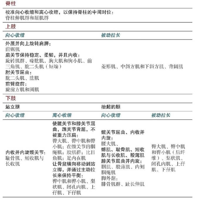 Garudasana 鹰式