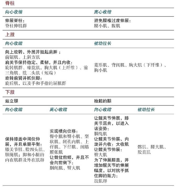 Natarajasana 舞王式